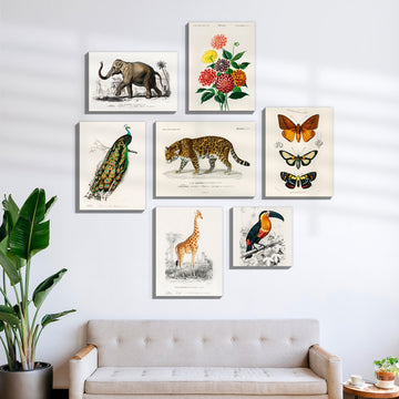 Vintage Wildlife & Botanical Gallery Wall Canvas Artwork Set of 7 – Asha Art Studio
